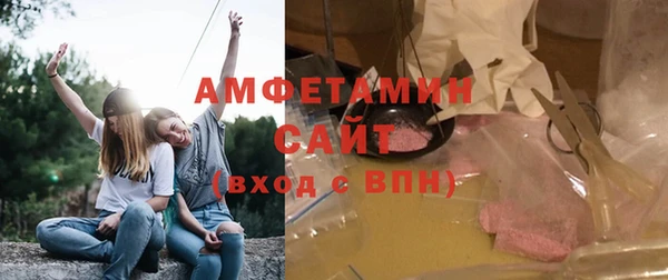 шишки Бородино