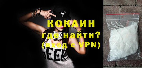 шишки Бородино