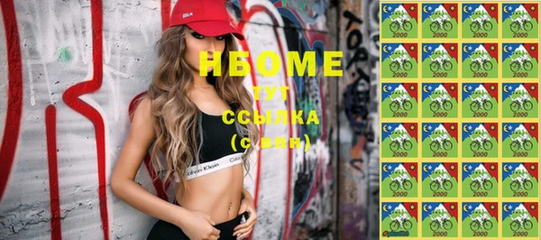 шишки Бородино
