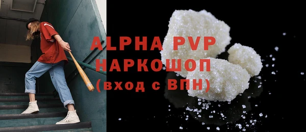 шишки Бородино