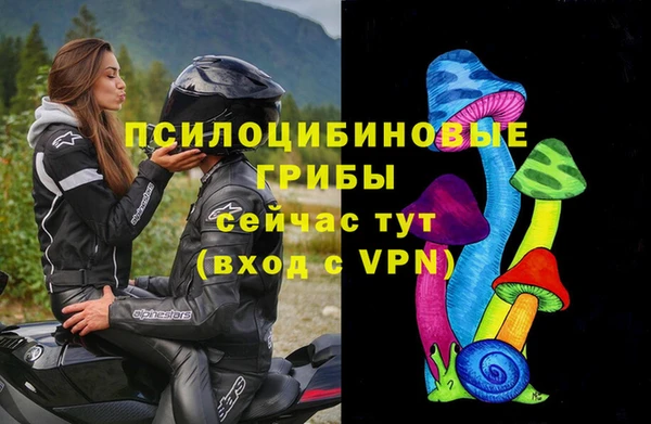 шишки Бородино