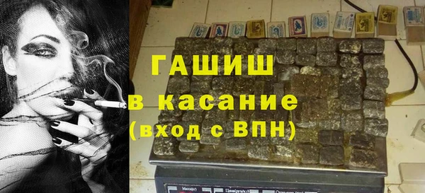 шишки Бородино