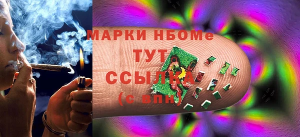 шишки Бородино