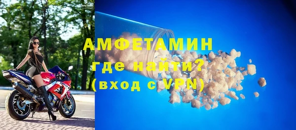 шишки Бородино