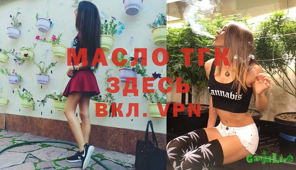 шишки Бородино