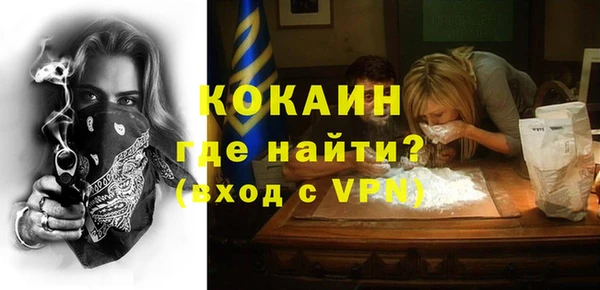 шишки Бородино