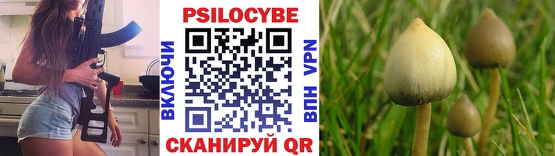Галлюциногенные грибы прущие грибы  MEGA ссылка  Комсомольск-на-Амуре  что такое  